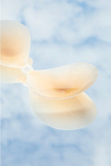 Silicone Stick On Bra